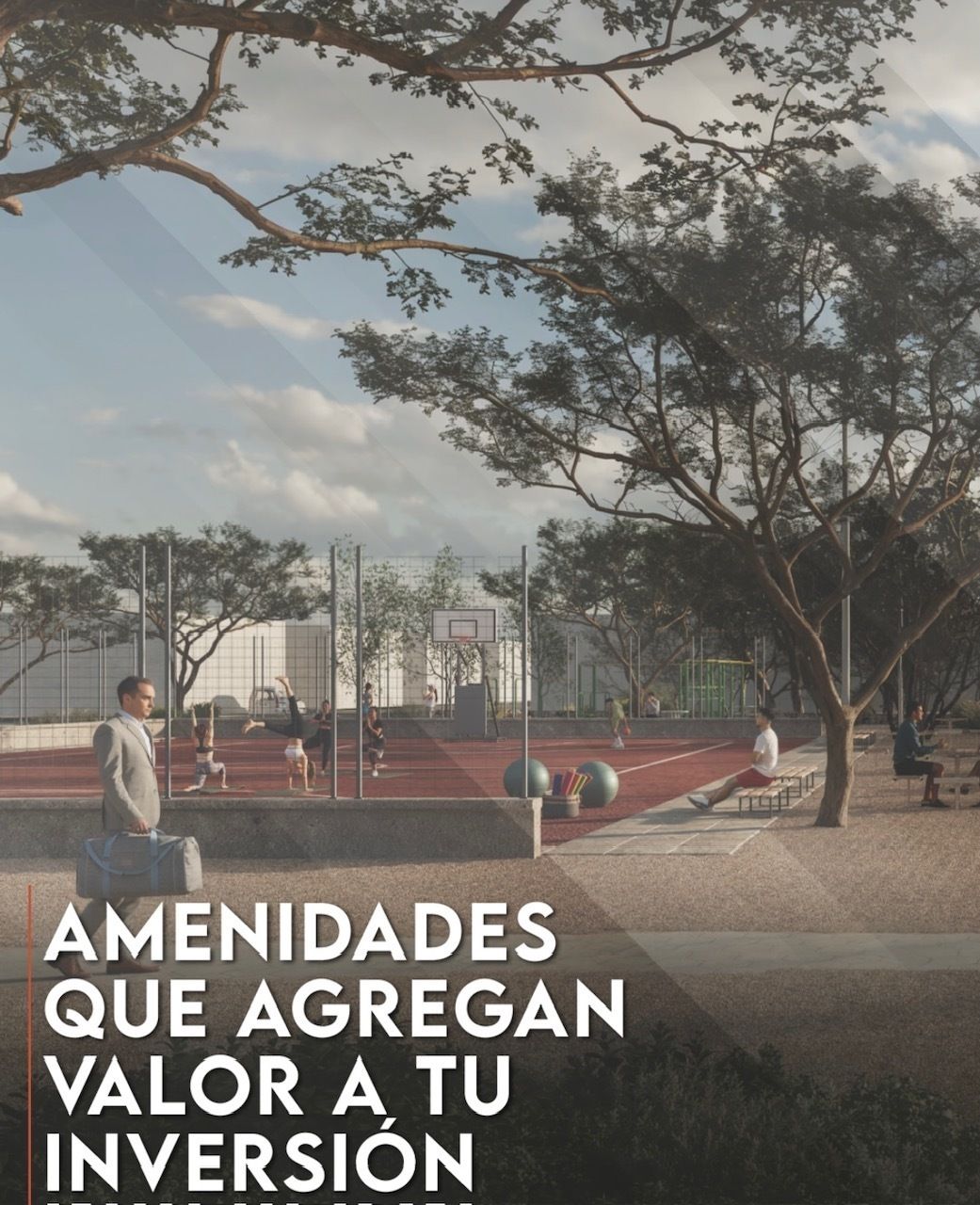 Imagen 5 de 10