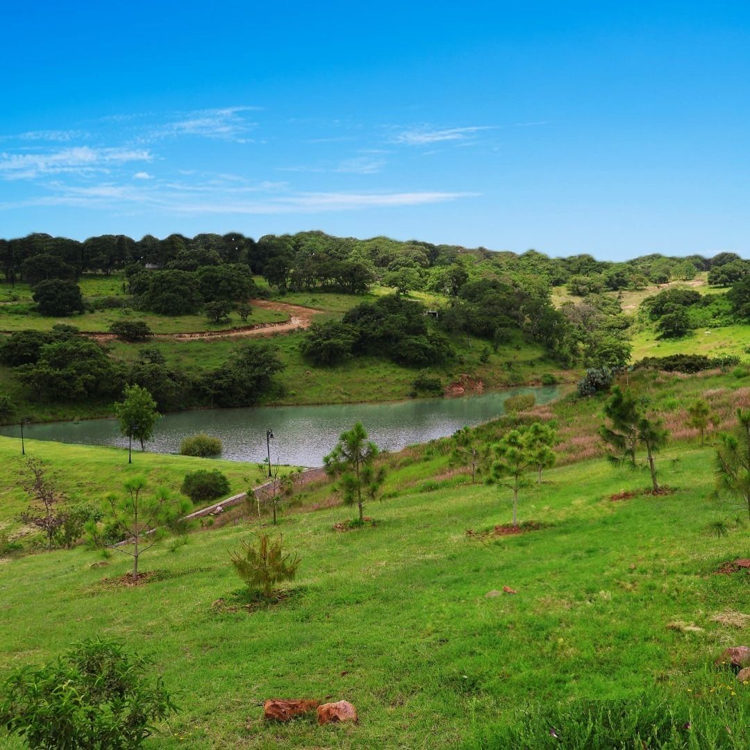 2 de 21: Terrenos