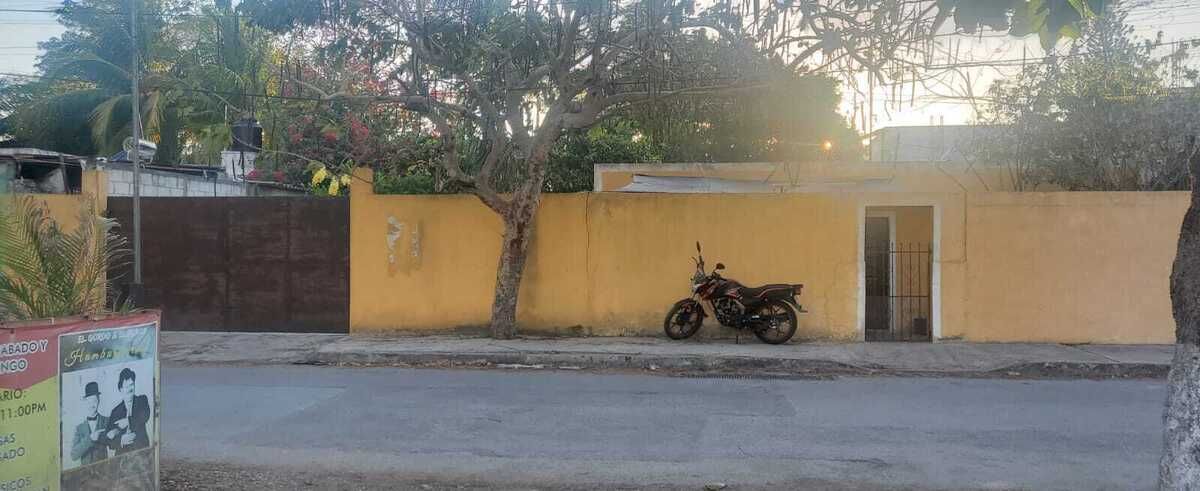 3 de 39