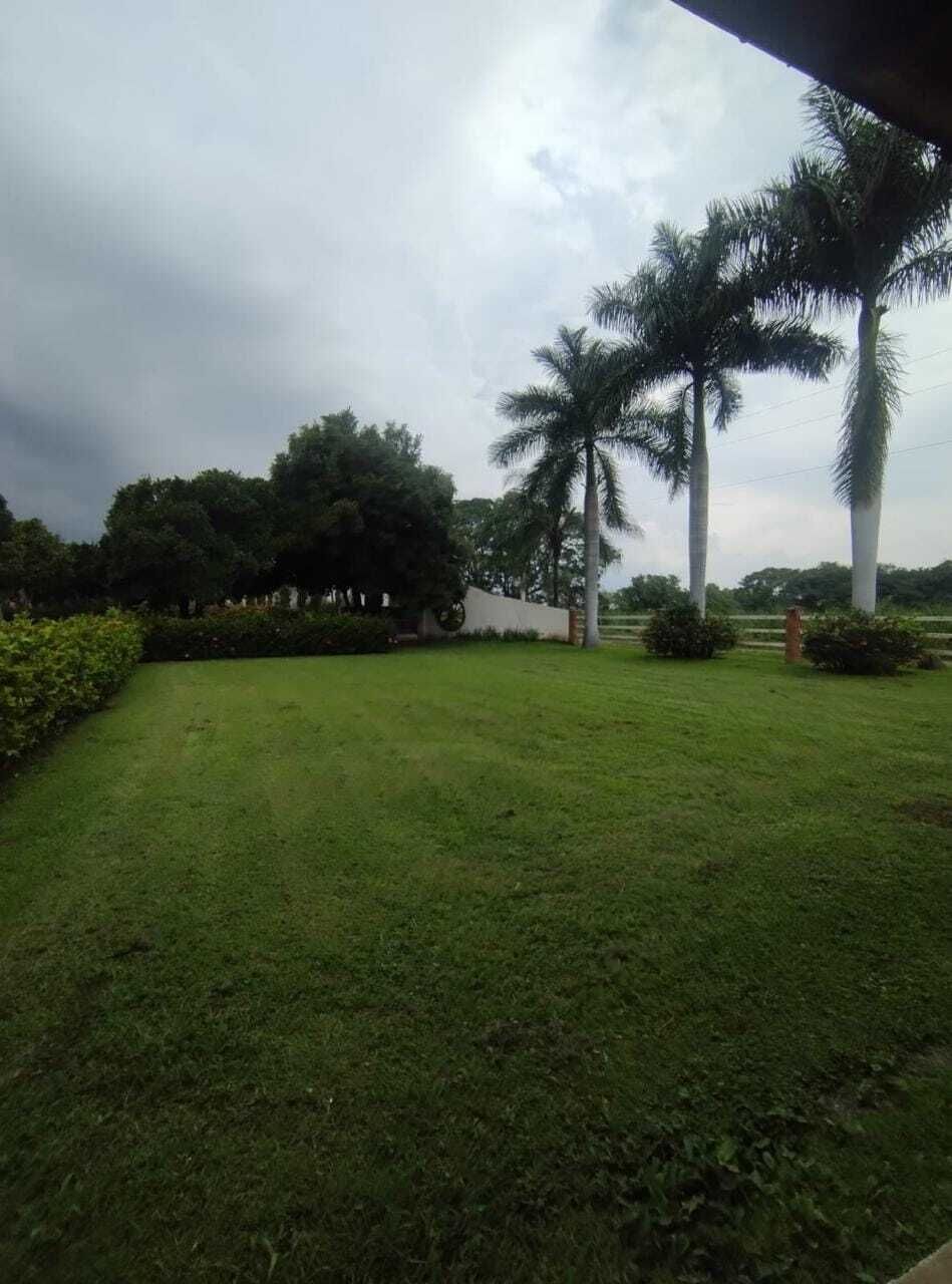 8 of 26