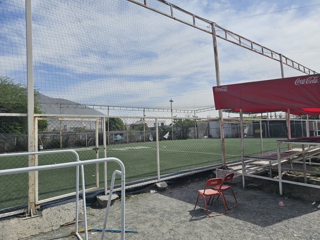 5 de 19