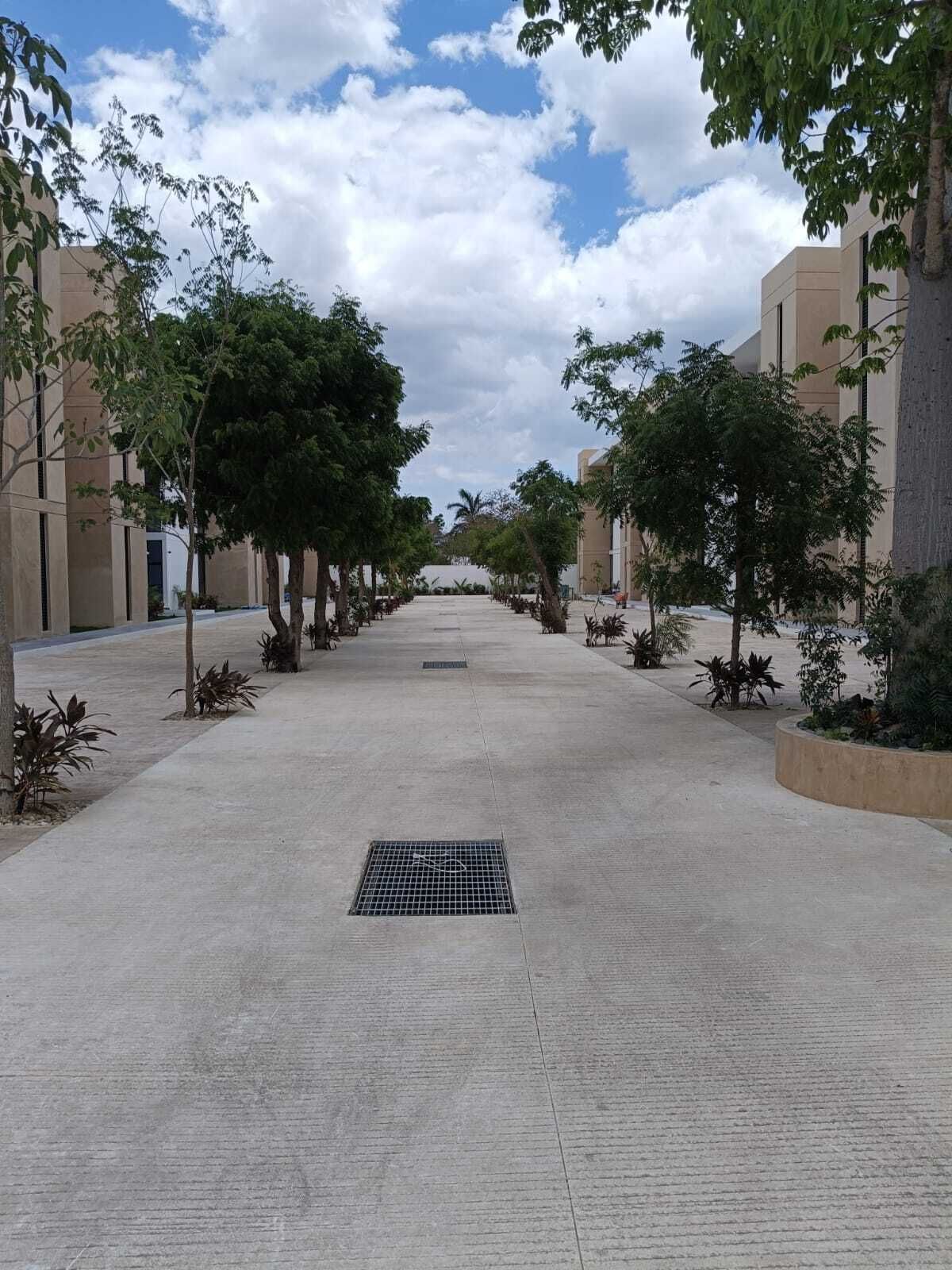 2 de 11