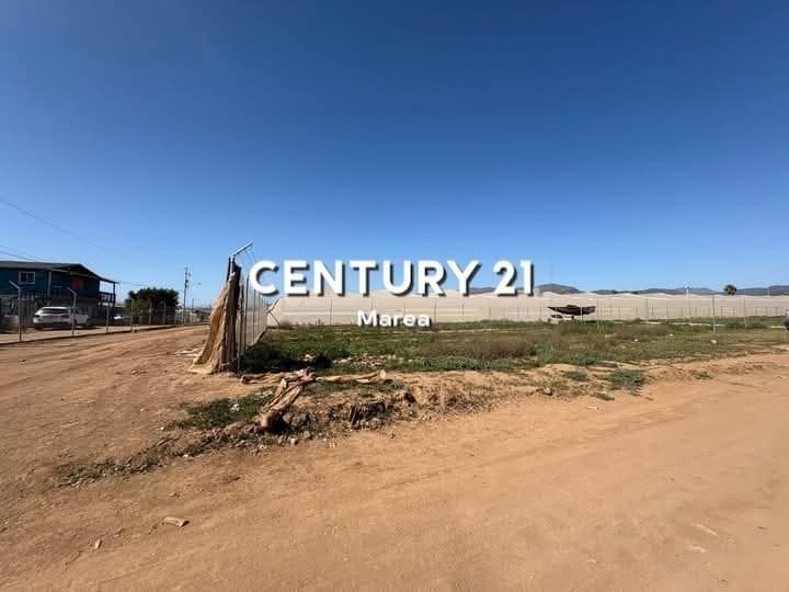 3 de 9