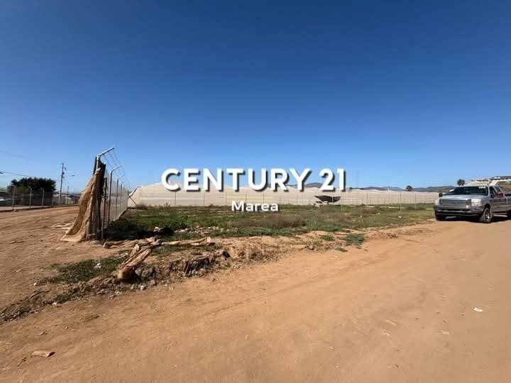 4 de 9
