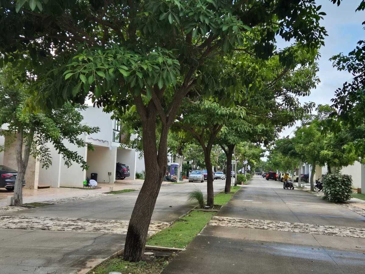 1 de 7