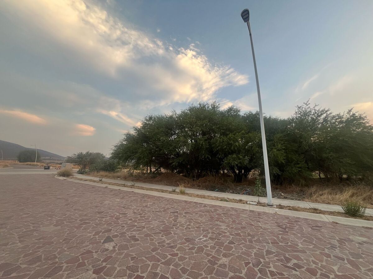 7 de 11