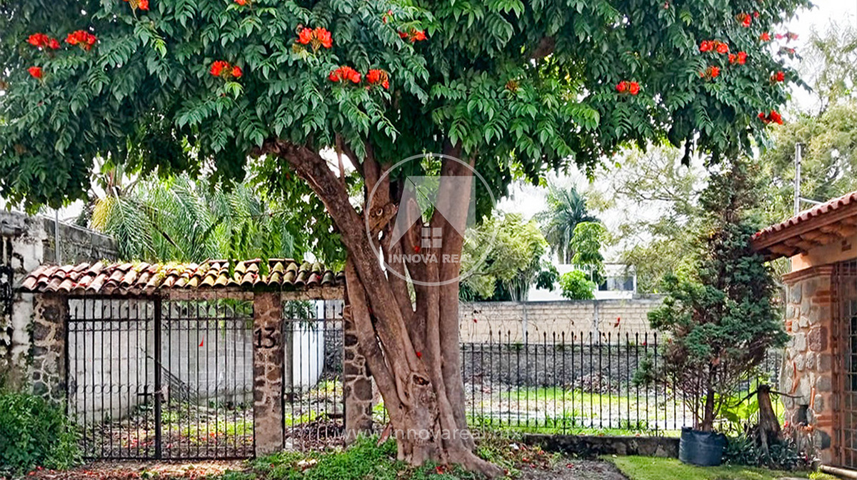 1 de 12