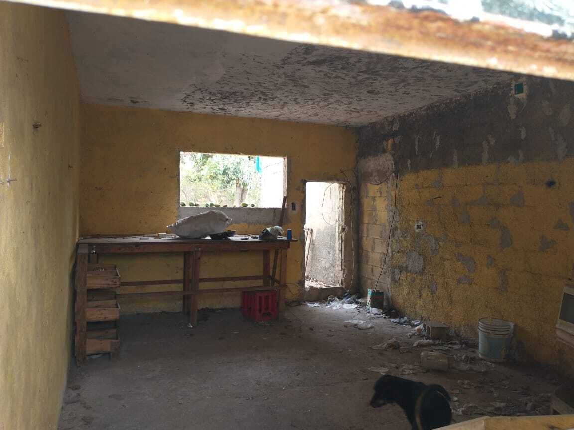 3 of 6
