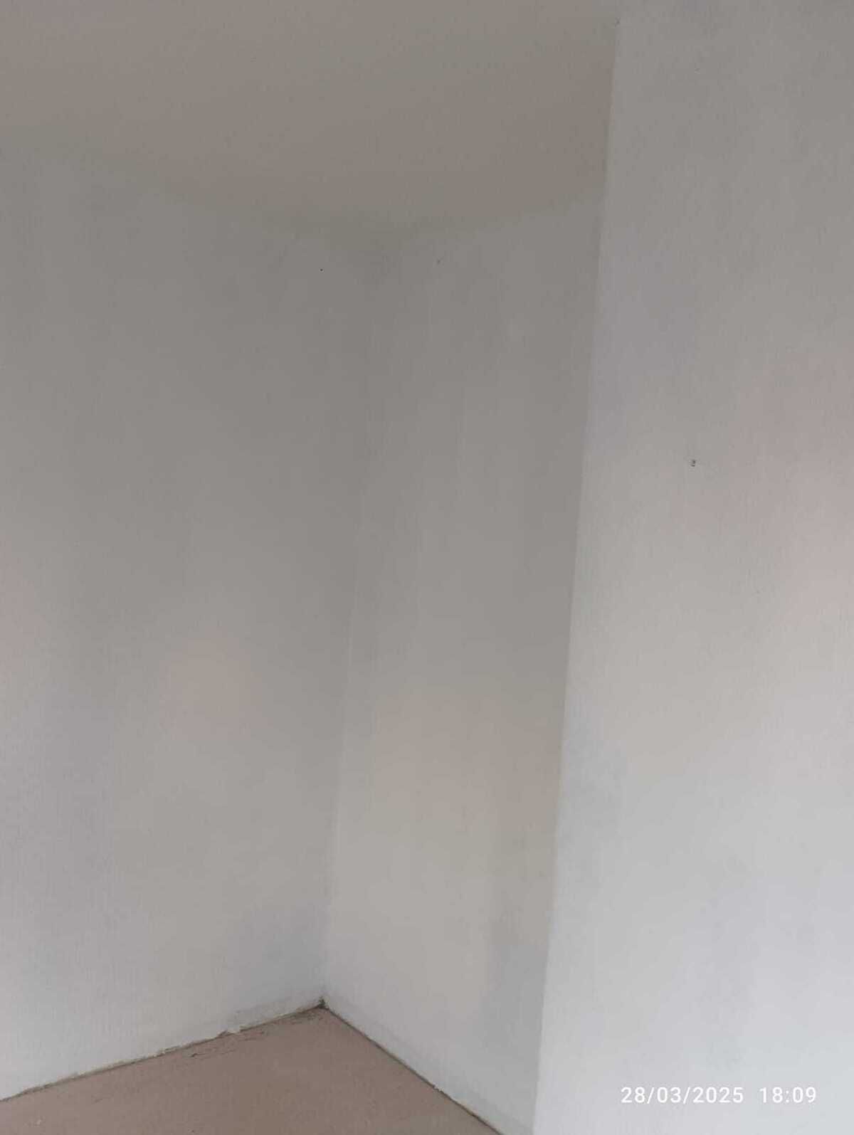 4 de 12