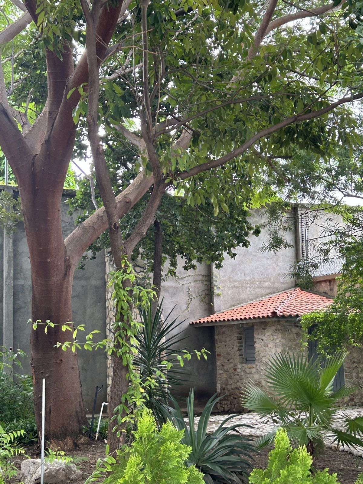 Casa en Miravalle, Tuxtla Gutiérrez, foto 34 de 35