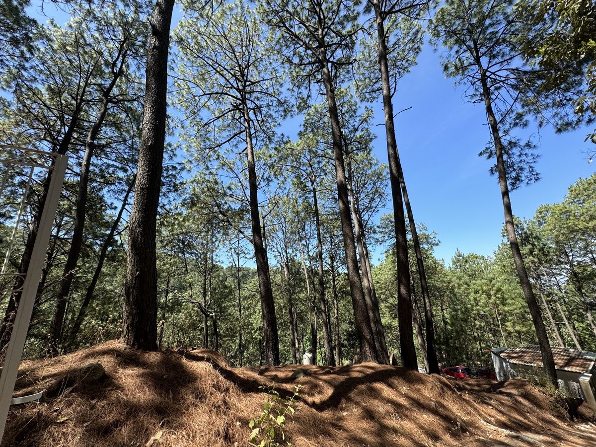 Terreno en Venta, Fracc. Las Azaleas en Mazamitla, Jalisco