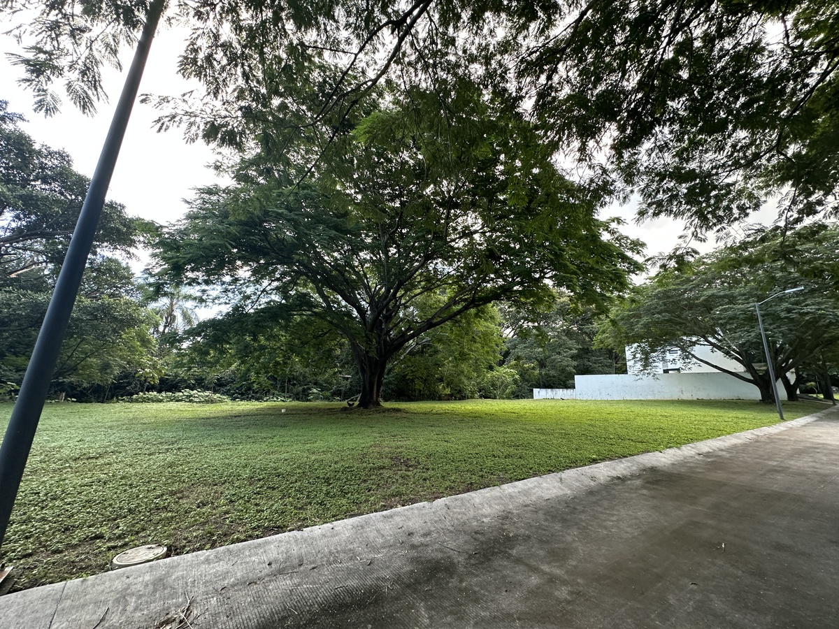 5 de 44