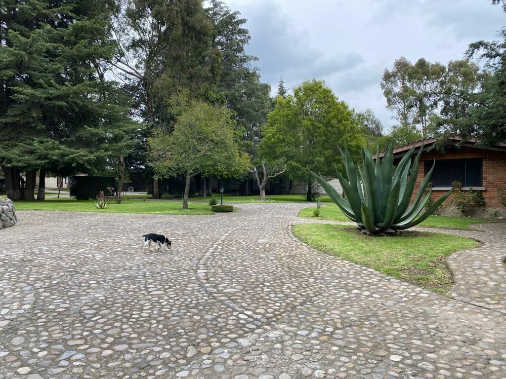 House for sale in Cacalomacán Toluca - foto 4