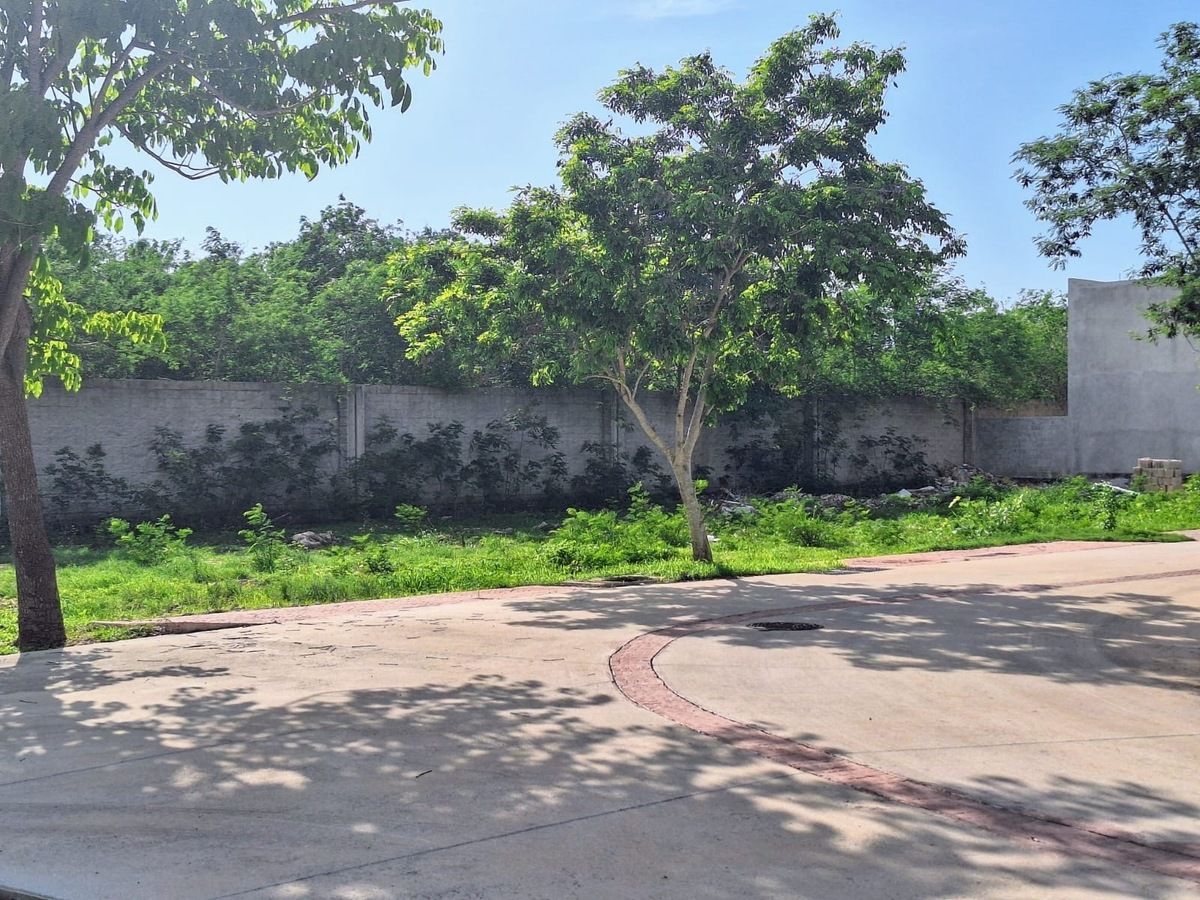 Terreno en Altozano, Mérida, foto 12 de 22