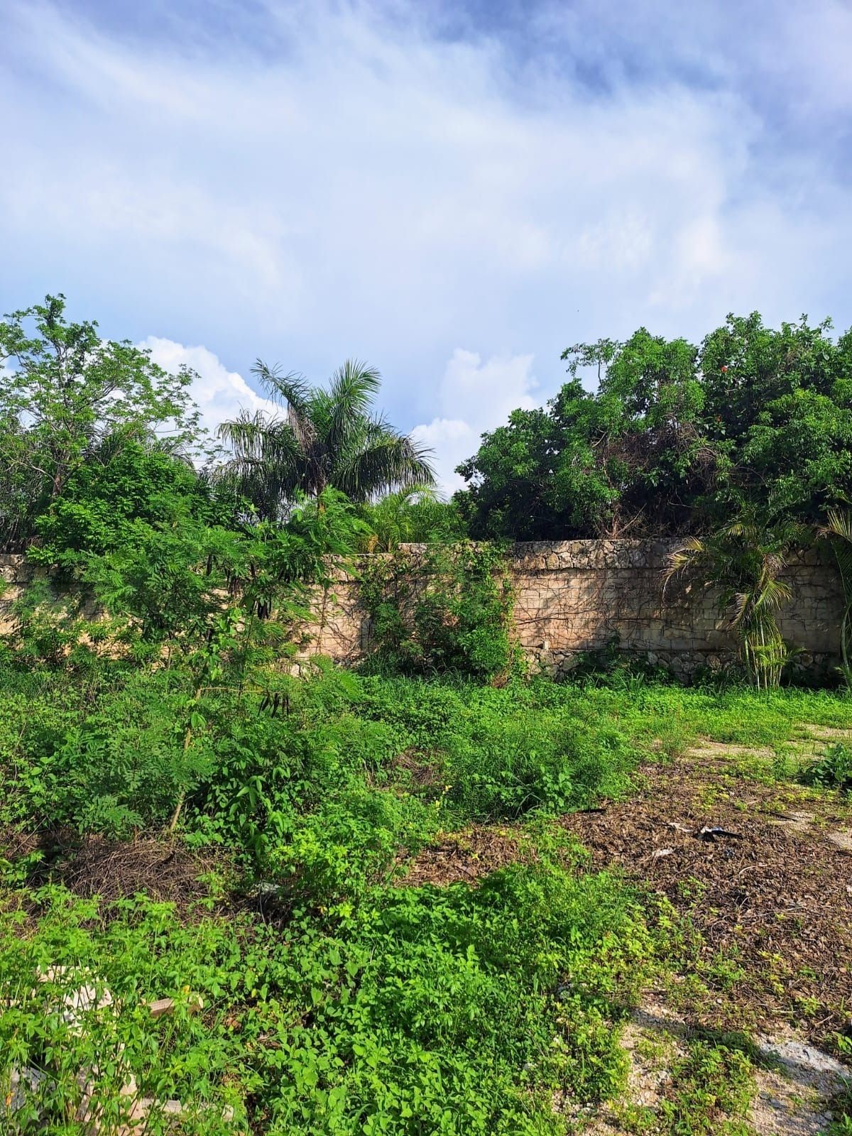 Terreno en Altozano, Mérida, foto 14 de 22