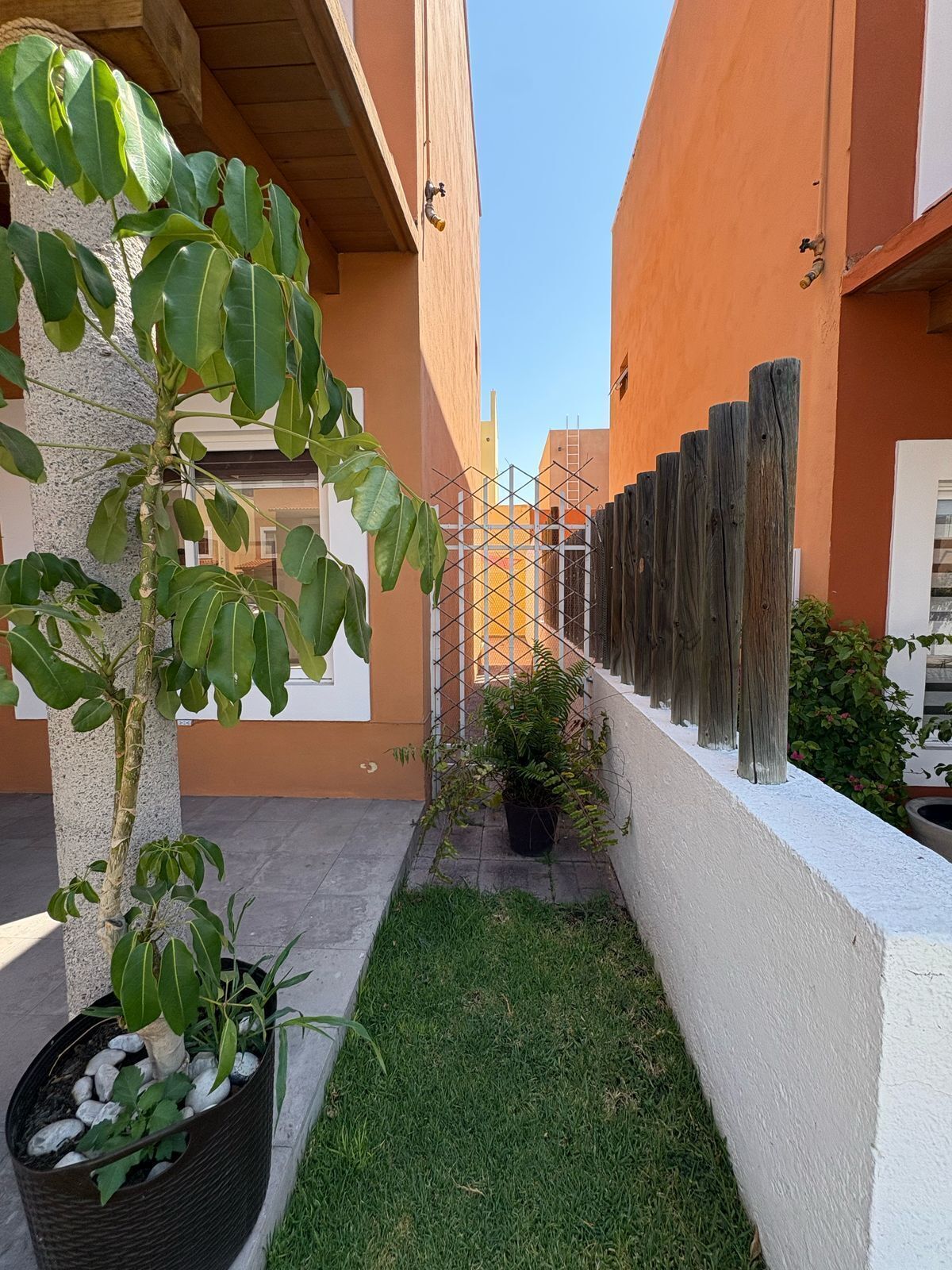 4 de 23