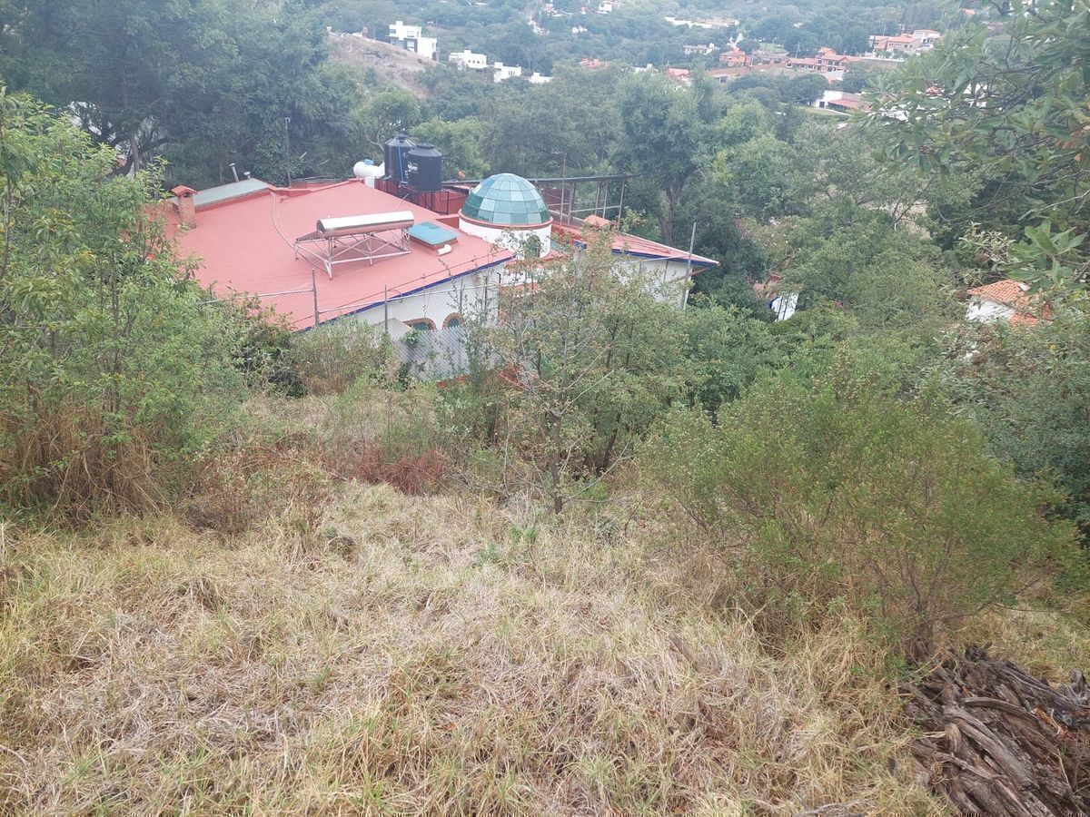 2 de 4