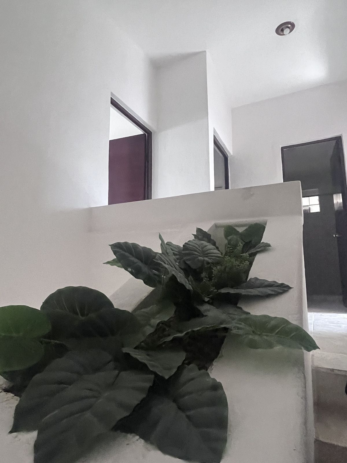 14 de 29