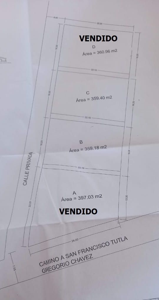 7 de 7