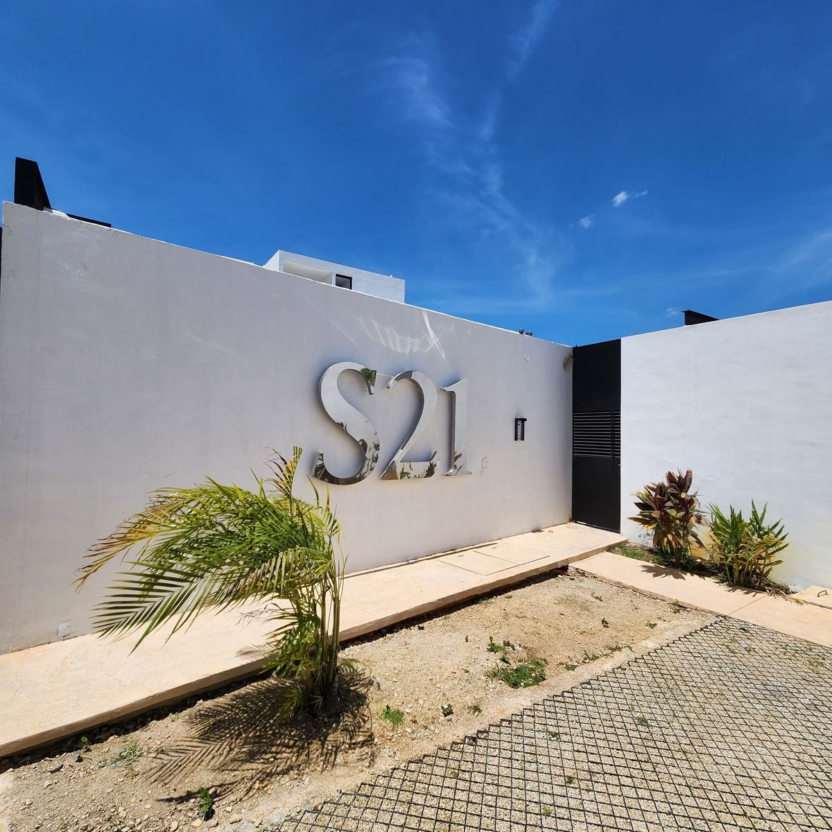 3 de 24