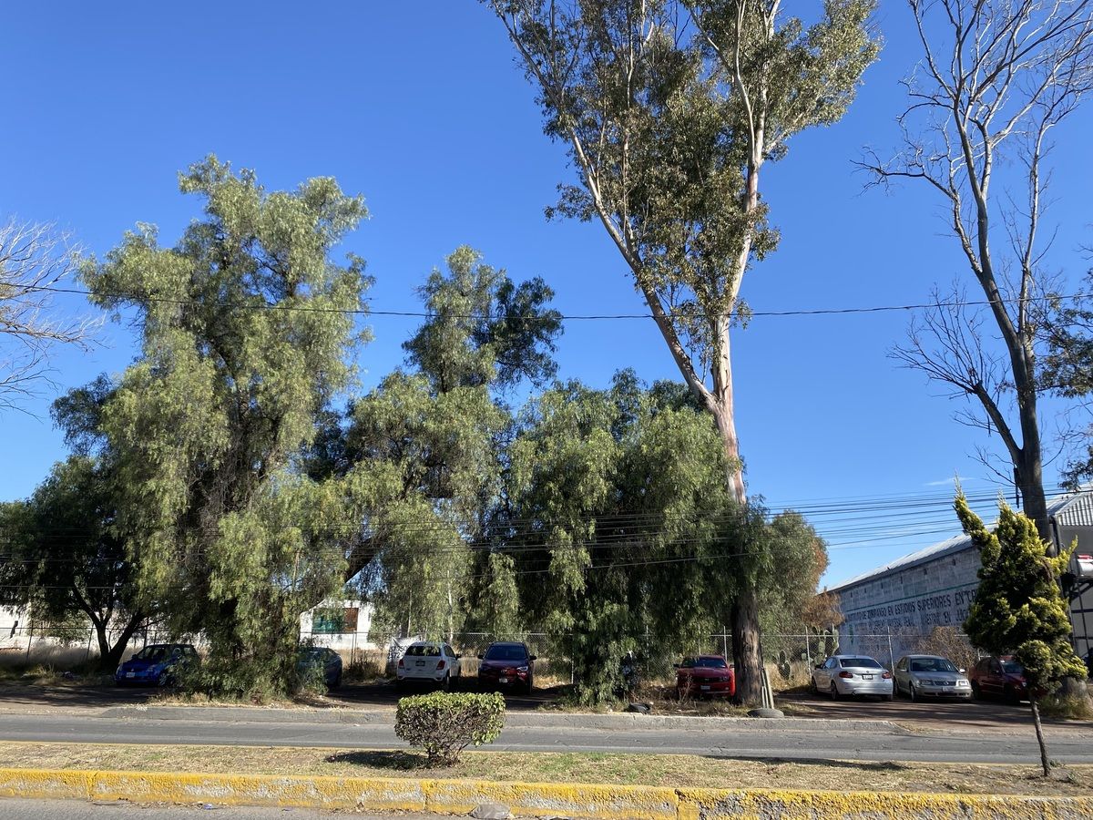 1 de 14: ZUMPANGO AV. HIDALGO