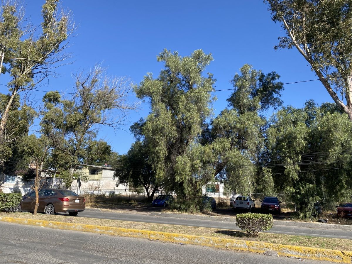3 de 14: ZUMPANGO AV. HIDALGO