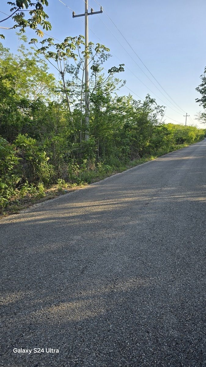 1 de 11: Se observa orilla de carretera pavimentada