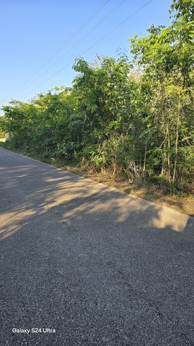 2 de 11: Orilla de carretera Yalcoba Xtut