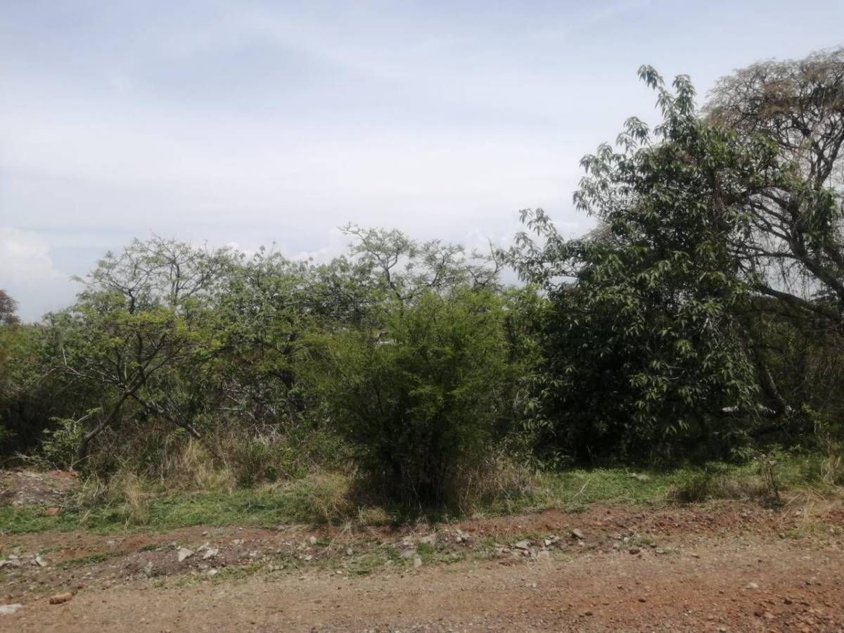 Imagen 2 de 6