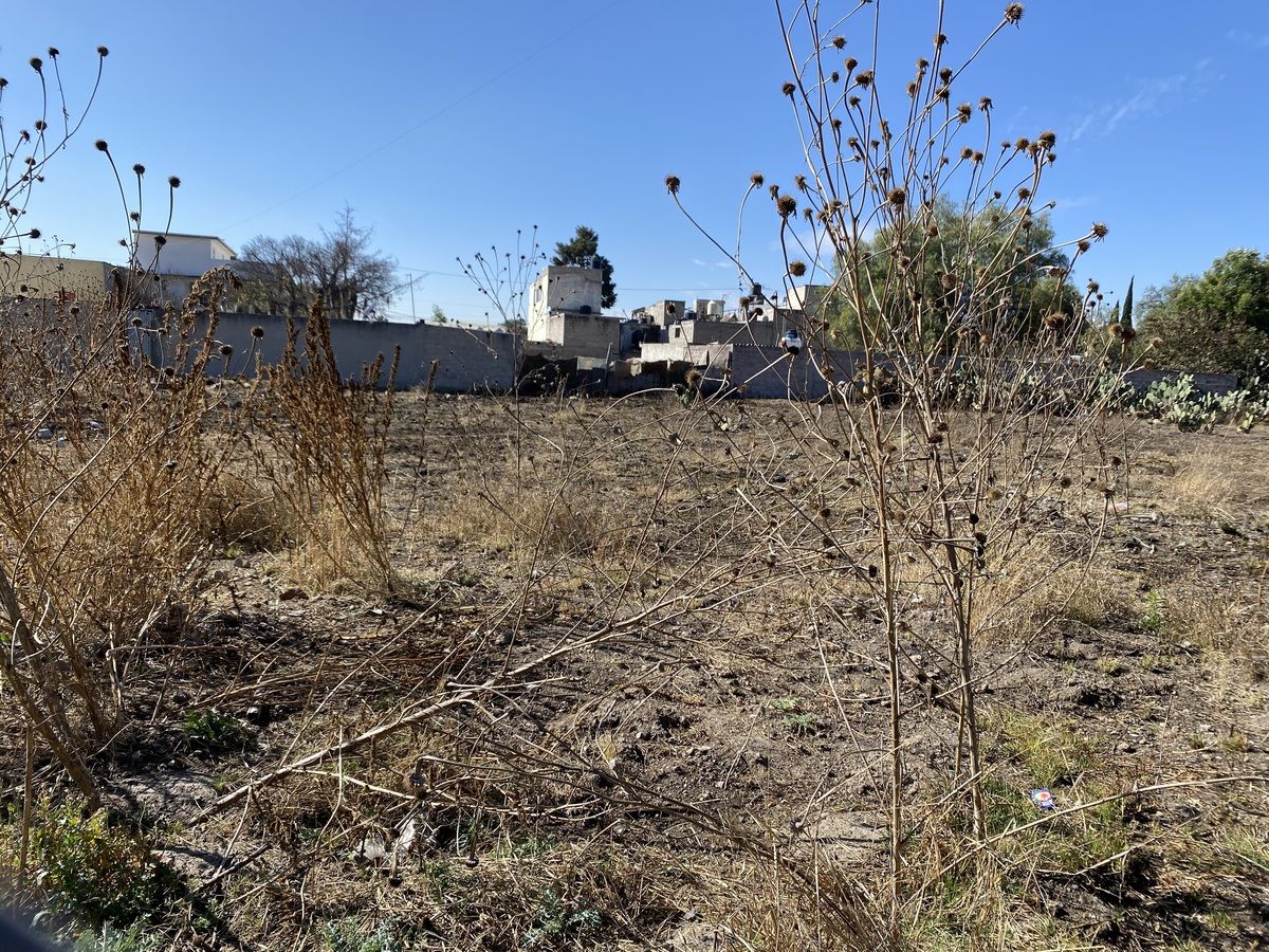 7 of 9: ZUMPANGO VENTA DE TERRENO EN LA NORIA