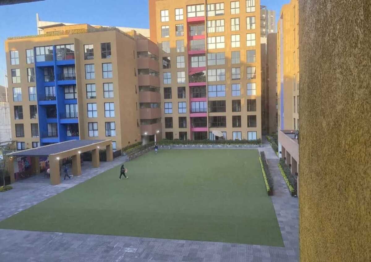 3 de 24