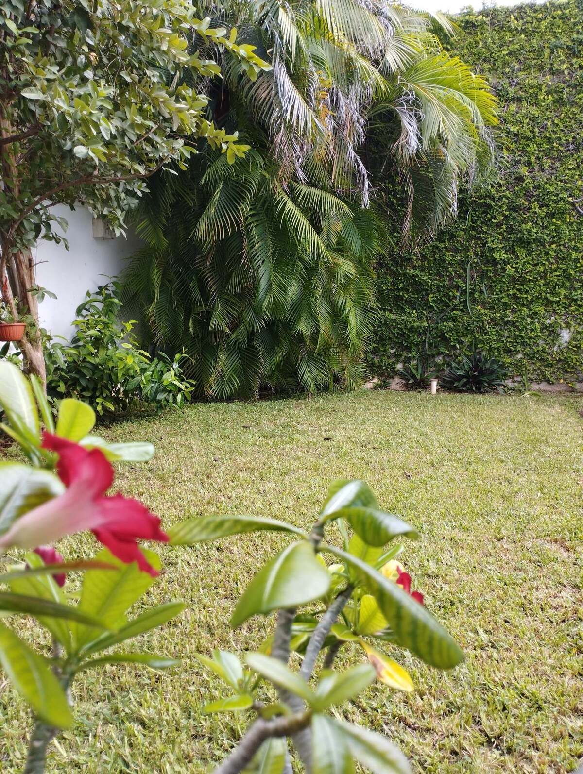 2 of 30: Jardín trasero