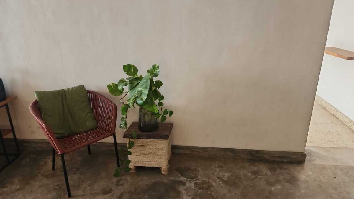 5 de 20