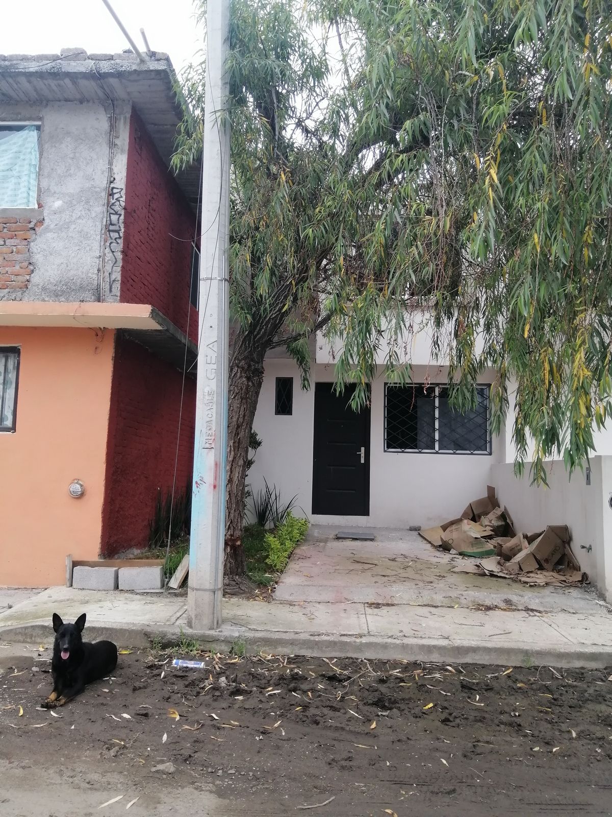 Imagen 1 de 7