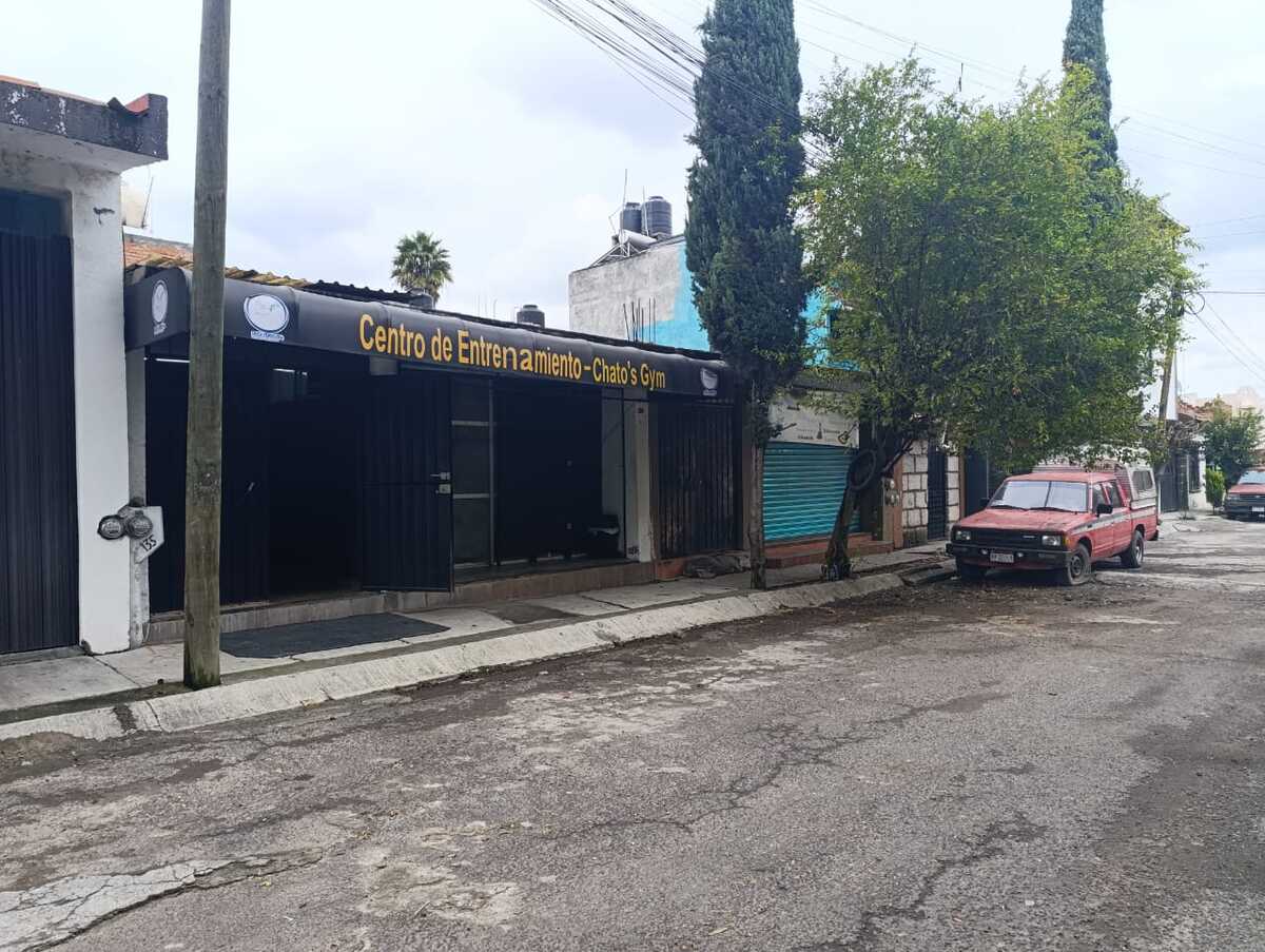 4 de 8