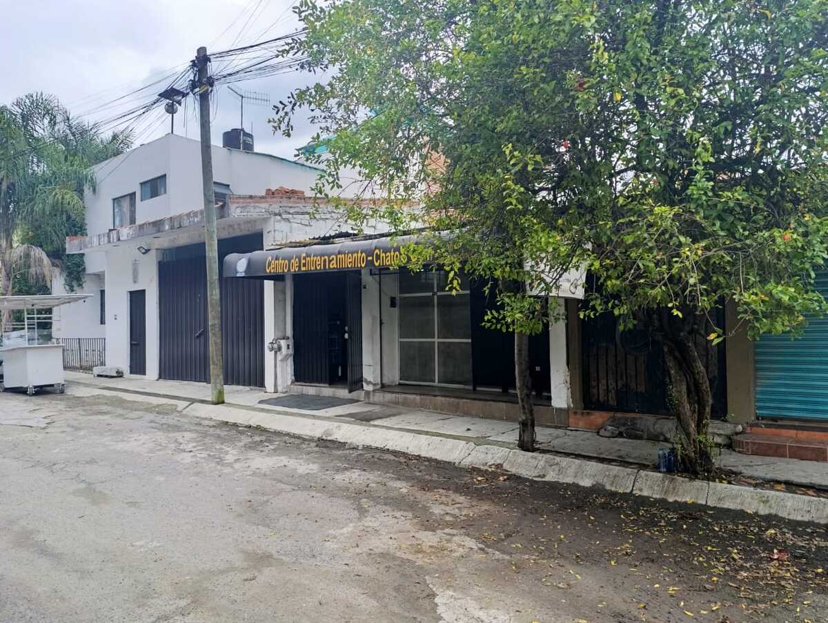 2 de 8