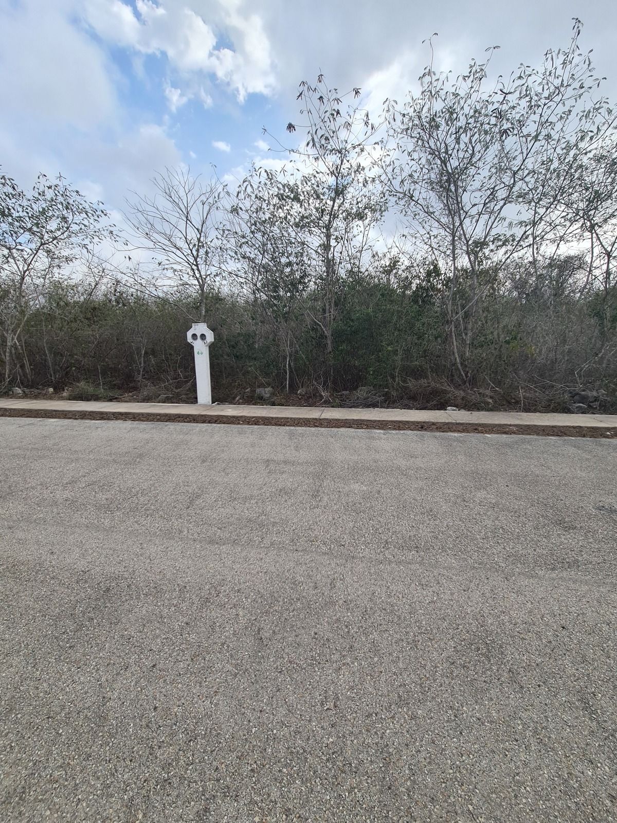 14 de 19