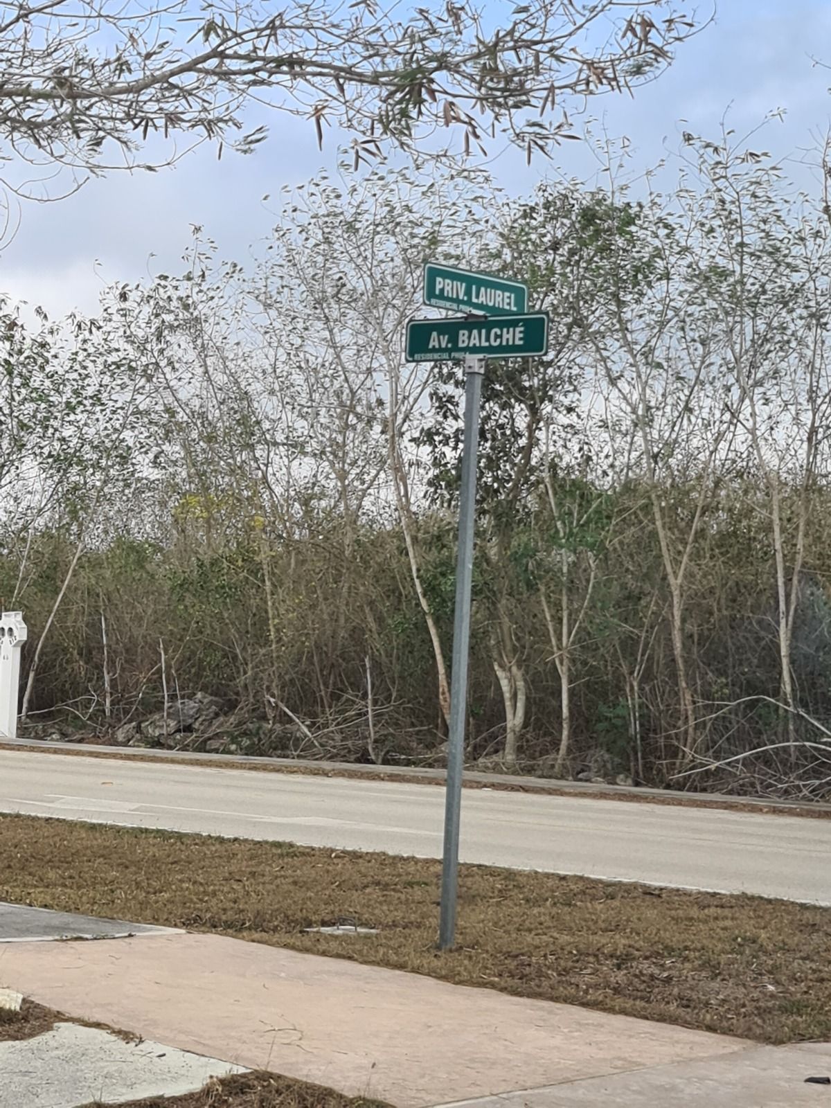 16 de 19