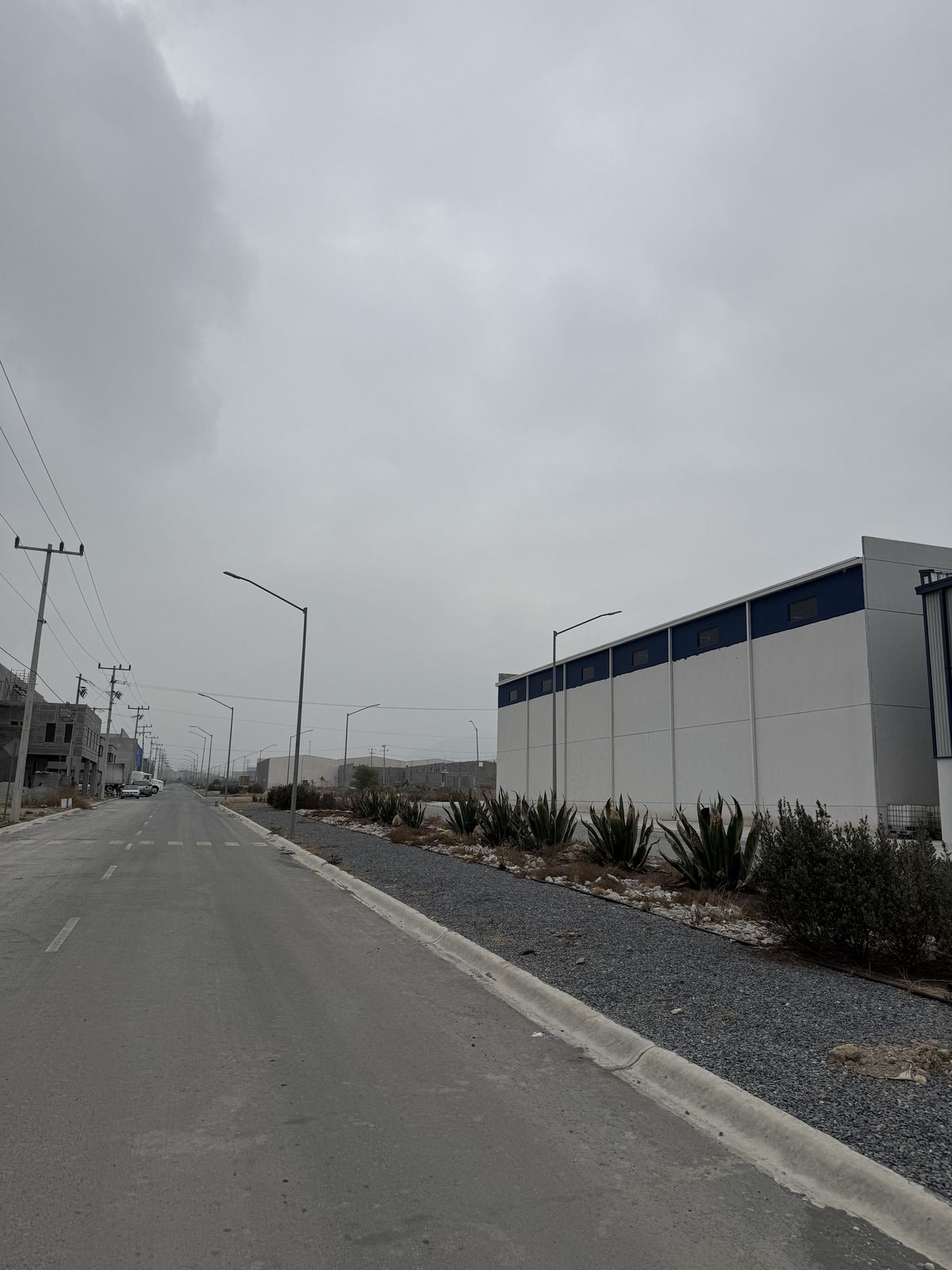 5 de 5: Avenida Principal del  Parque Industrial