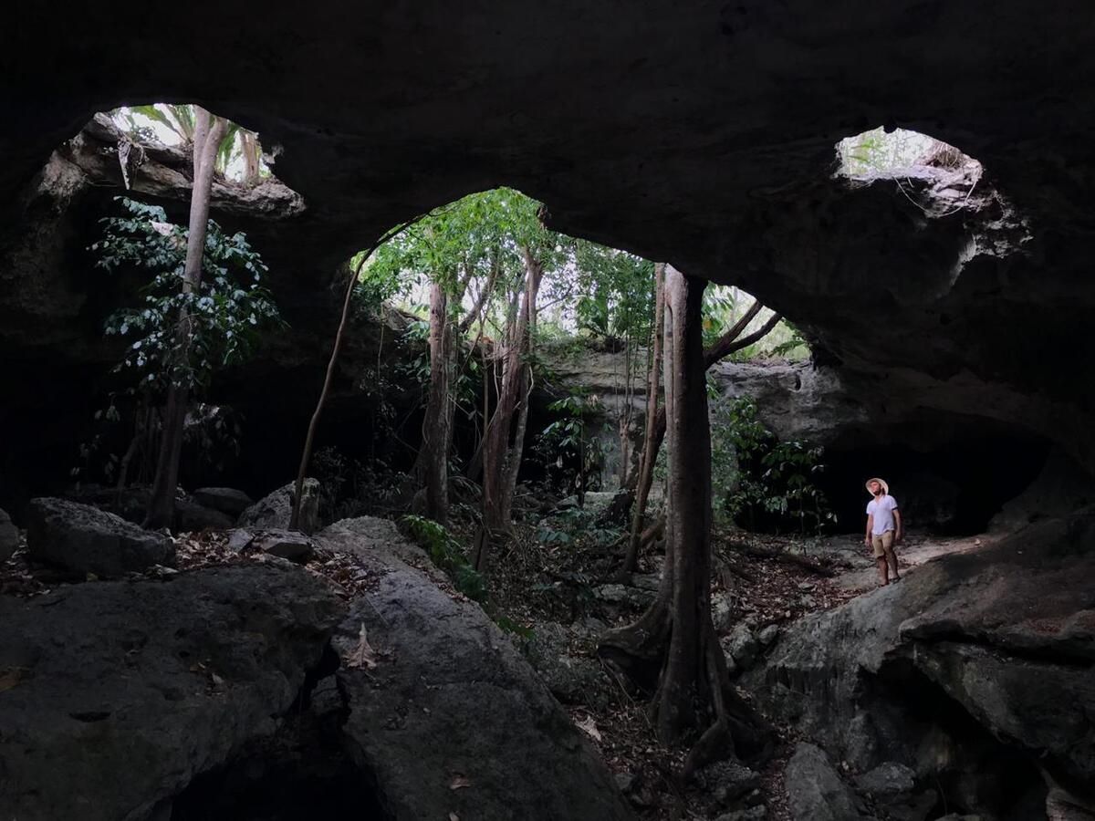 5 of 11: Caverna
