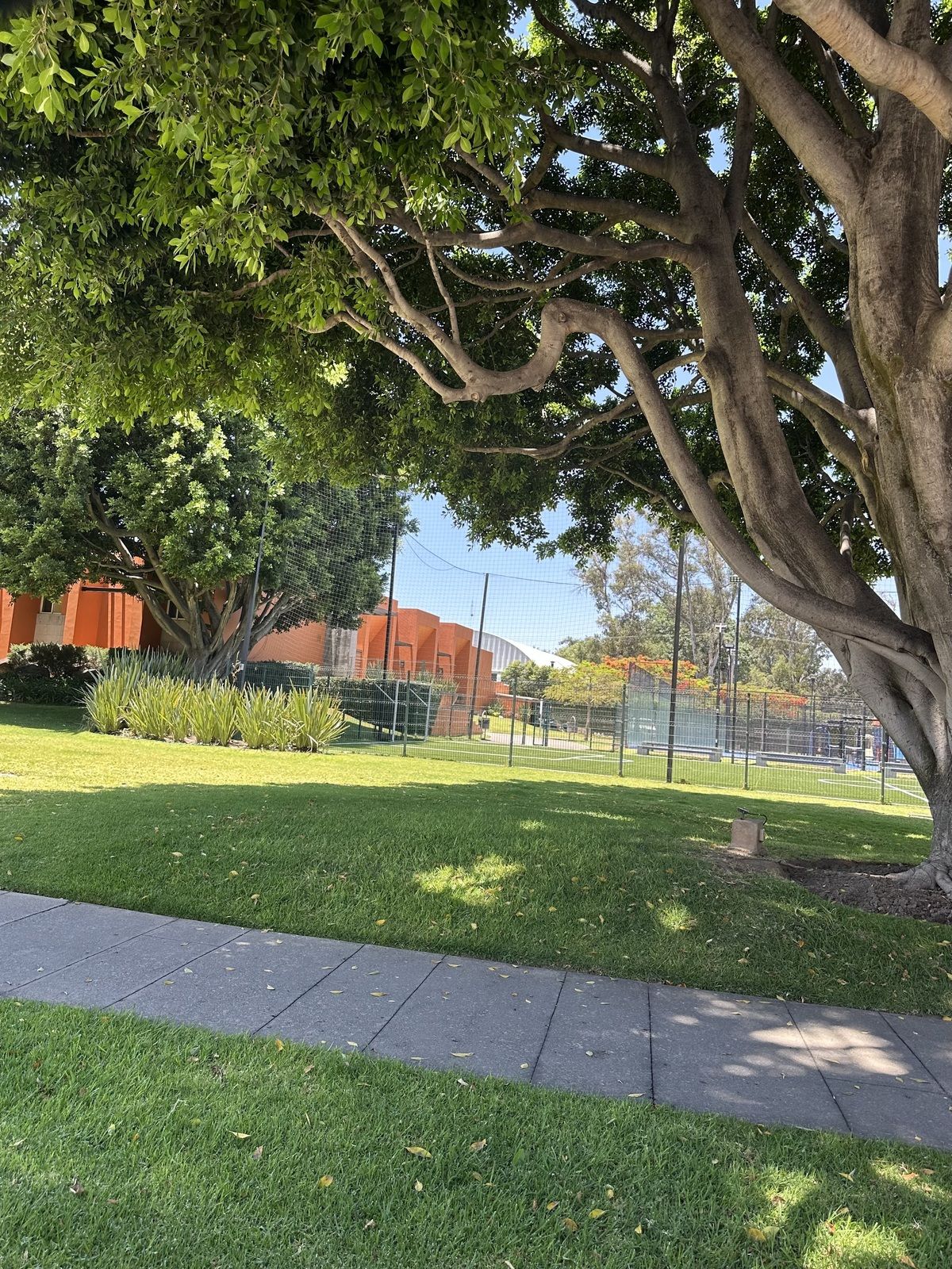 3 de 11