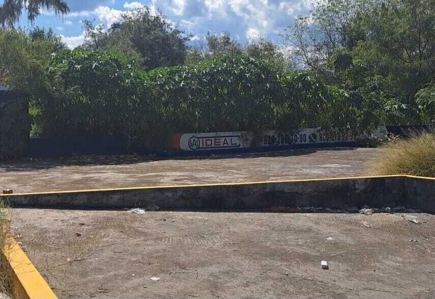5 de 11