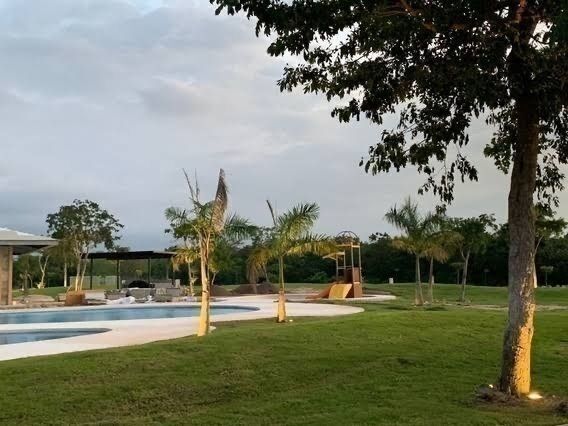 1 de 24