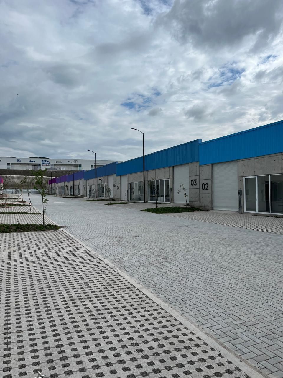 5 de 10