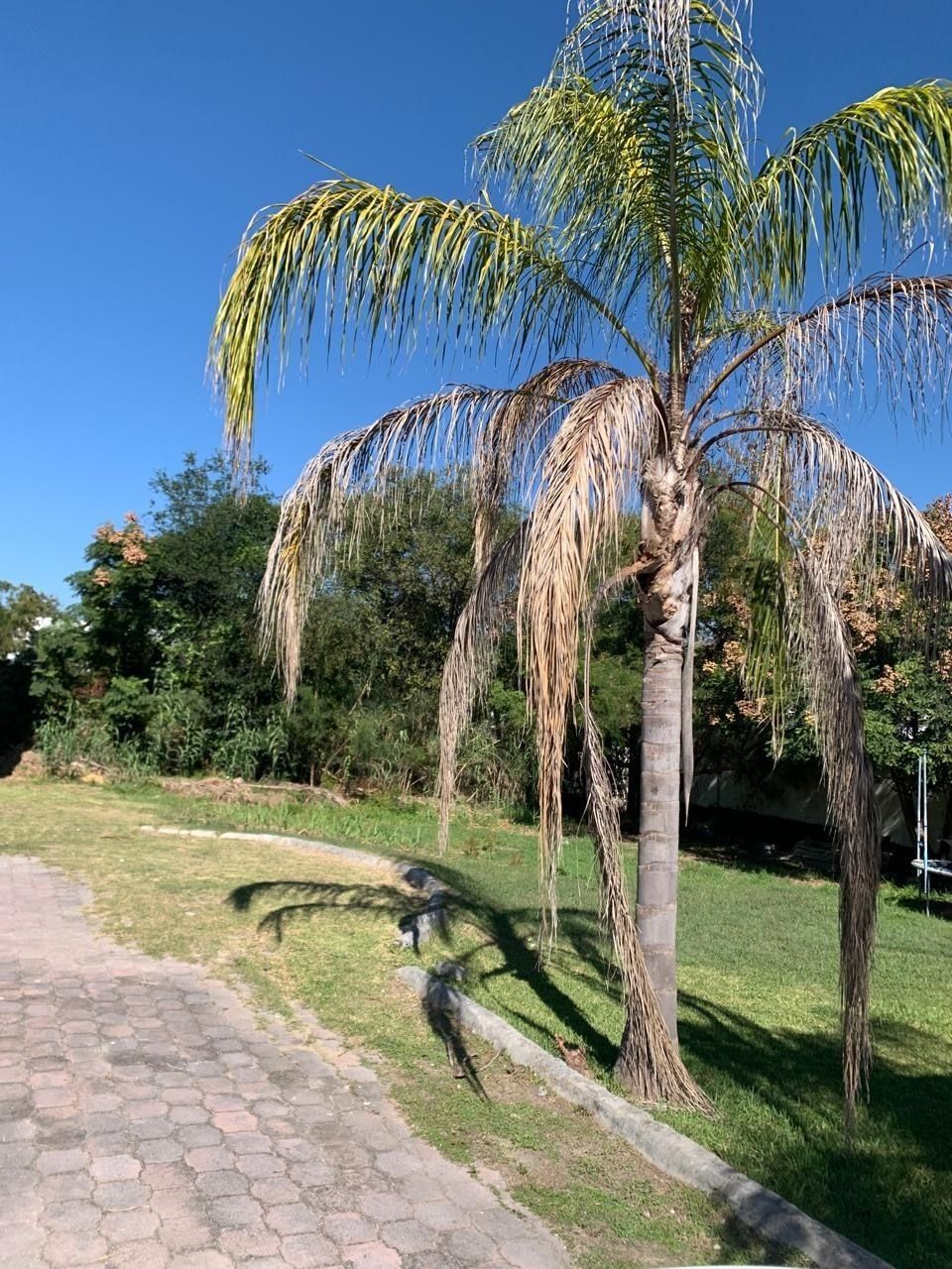5 de 12