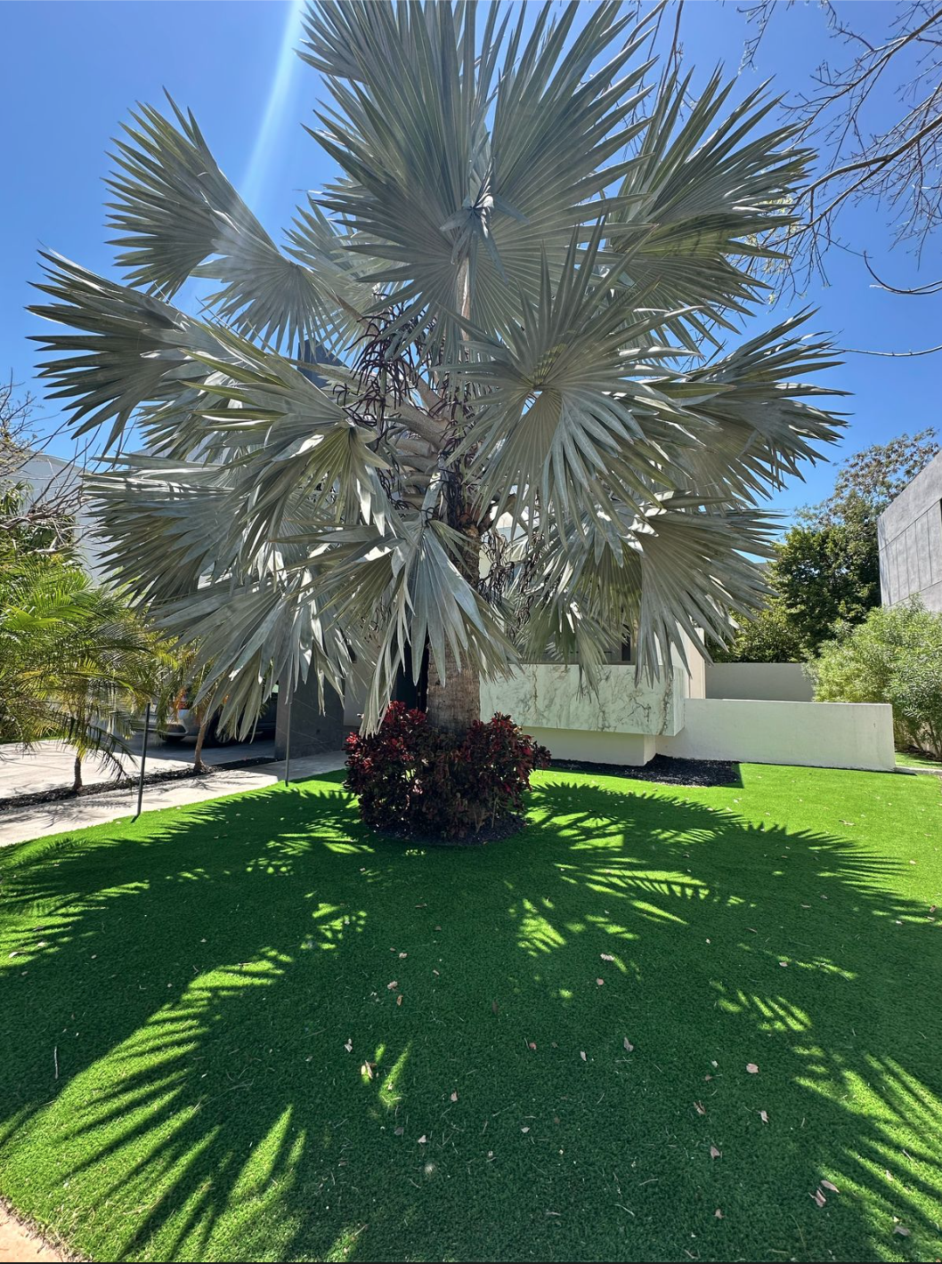 Casa en venta de dos plantas en privada Cutzam en Yucatán country club - foto 2