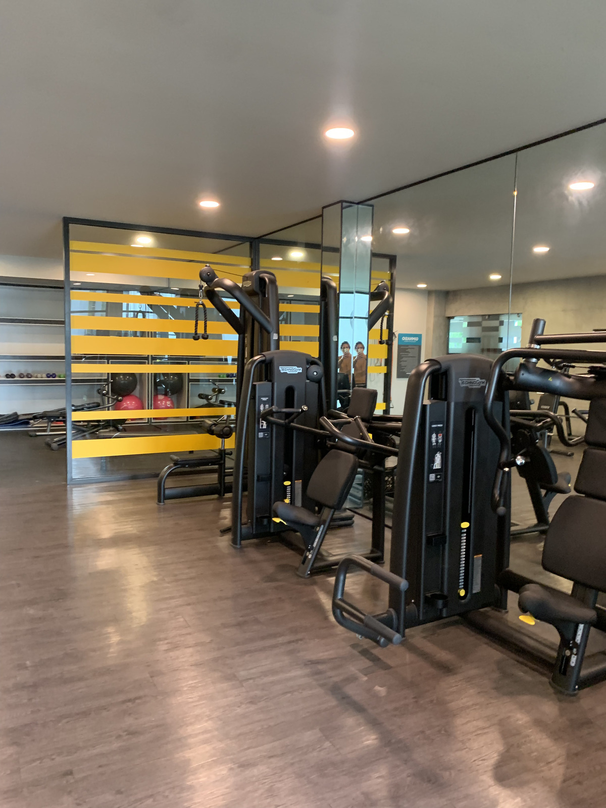 8 de 14: Gimnasio