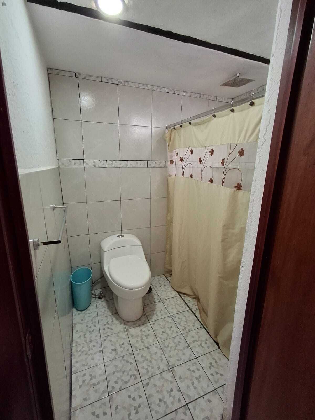 6 de 12