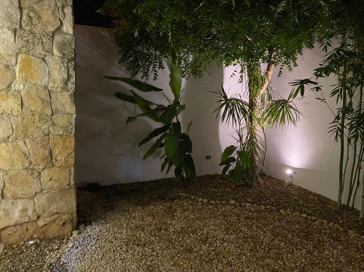 4 de 31