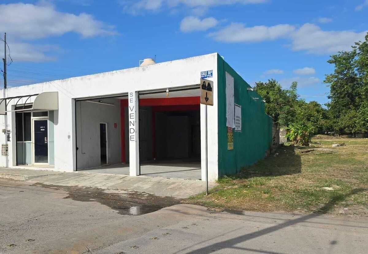 1 de 6